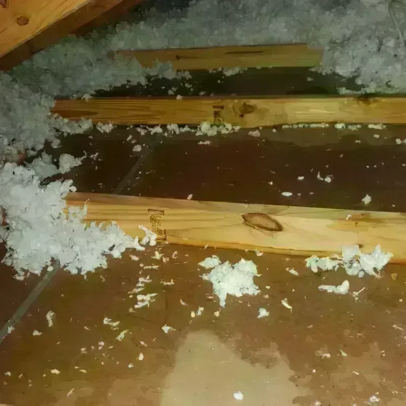 Attic Water Damage in Shasta Lake, CA