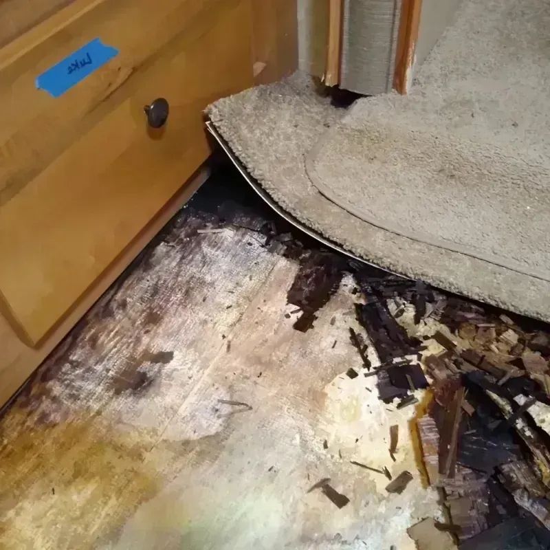 Wood Floor Water Damage in Shasta Lake, CA